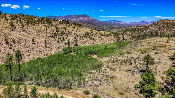 302 Rickel CIR, South Fork, CO 81154
