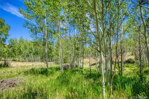 302 Rickel CIR, South Fork, CO 81154