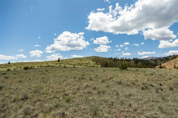TBD Hwy 149 (B), Creede, CO 81130