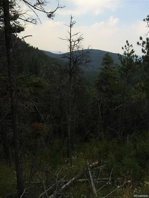 13499 S Firedog WAY, Larkspur, CO 80118