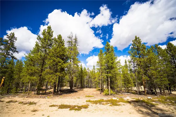 247 Juniper DR, Twin Lakes, CO 80461