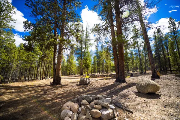 247 Juniper DR, Twin Lakes, CO 80461