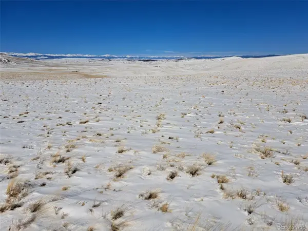 00 Jicarilla TRL, Hartsel, CO 80449