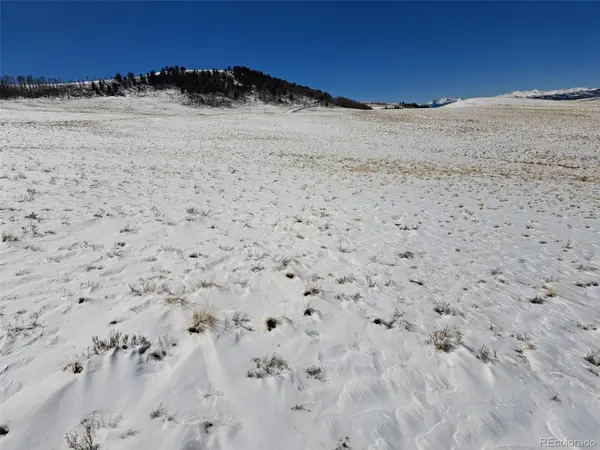 00 Jicarilla TRL, Hartsel, CO 80449