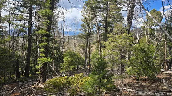 Lot 5261 Scott RD, Fort Garland, CO 81133