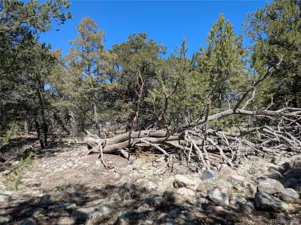 2202 Spanish Creek RD, Crestone, CO 81131