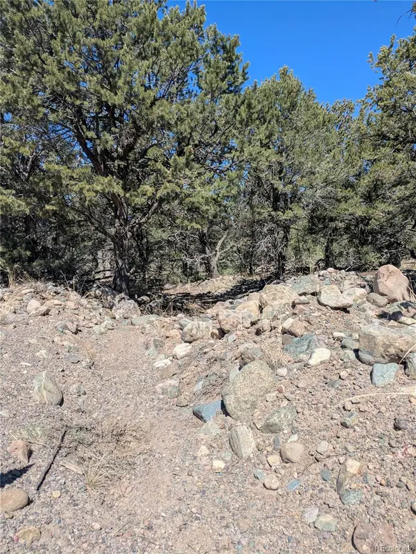 2202 Spanish Creek RD, Crestone, CO 81131