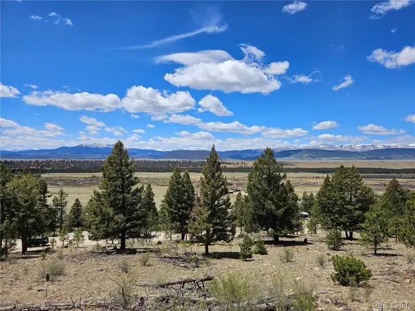 Bonell DR, Fairplay, CO 80440