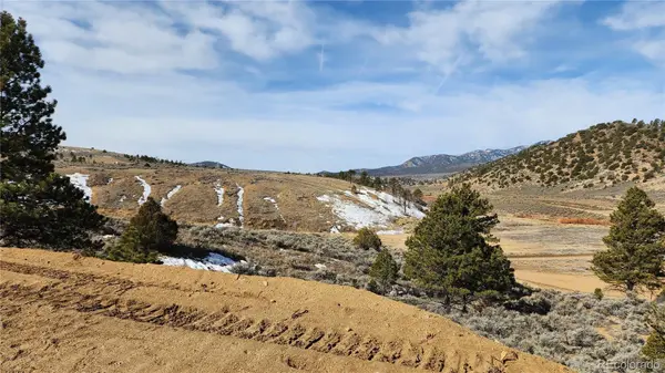 7770 Lewis Smith RD, Fort Garland, CO 81133