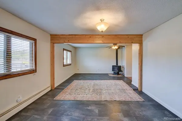 607 S Railroad ST, Buena Vista, CO 81211
