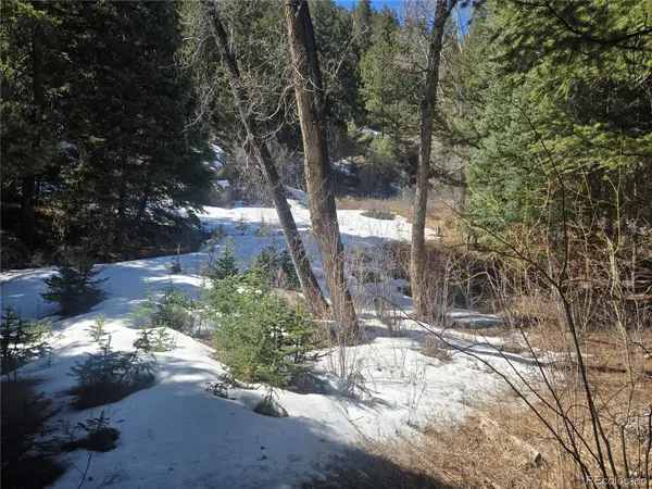 Fall River RD, Idaho Springs, CO 80452