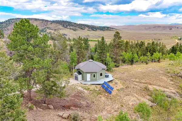 65 Riata RUN, Hartsel, CO 80449