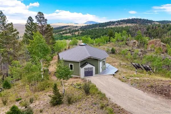 65 Riata RUN, Hartsel, CO 80449
