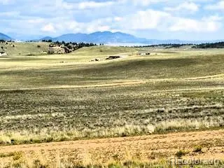 785 Cherokee TRL, Hartsel, CO 80449