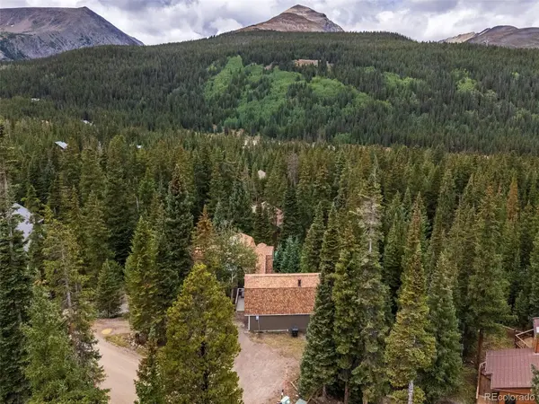 291 Doris DR, Breckenridge, CO 80424