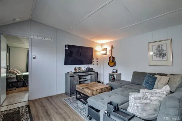 56 Magnum Bonum DR, Breckenridge, CO 80424