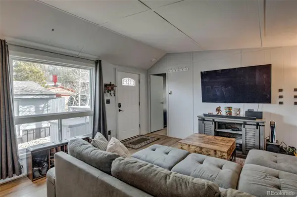 56 Magnum Bonum DR, Breckenridge, CO 80424