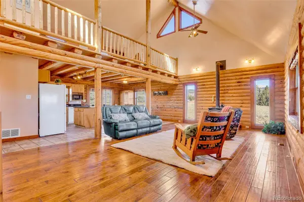 1528 Silverheels RD, Fairplay, CO 80440