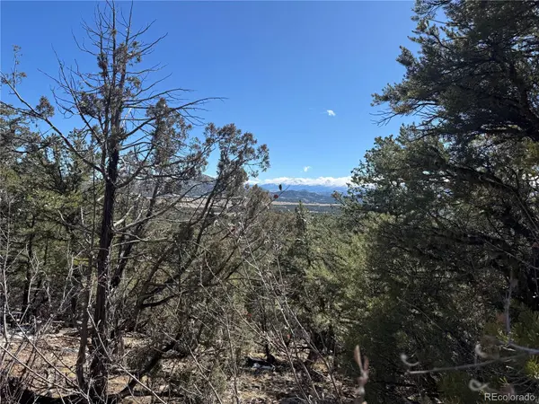 1214 Kevin DR, Cotopaxi, CO 81223
