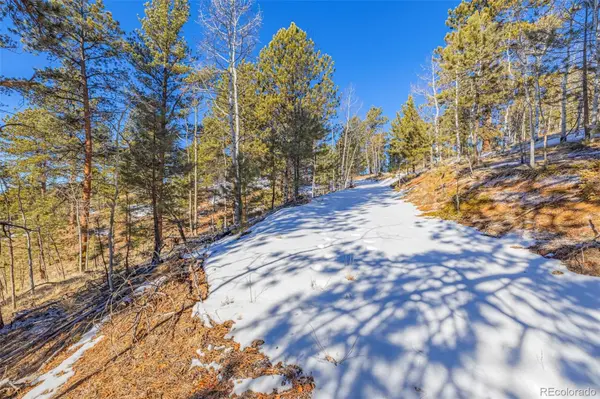 772 E Bison Creek TRL, Florissant, CO 80816
