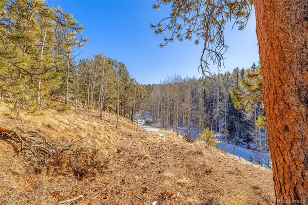 772 E Bison Creek TRL, Florissant, CO 80816