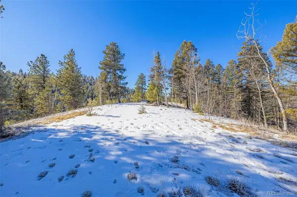 772 E Bison Creek TRL, Florissant, CO 80816