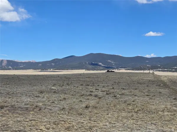 Elk LN, Hartsel, CO 80449