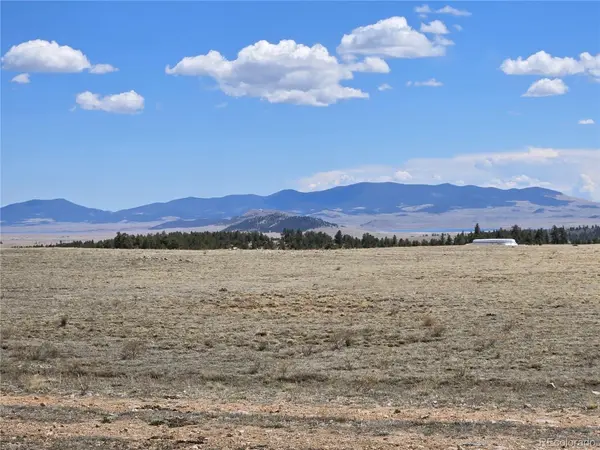 Elk LN, Hartsel, CO 80449