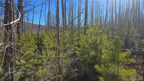 Lot 1470 Von Heyl LN, Fort Garland, CO 81133