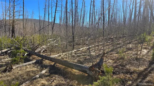 Lot 1470 Von Heyl LN, Fort Garland, CO 81133