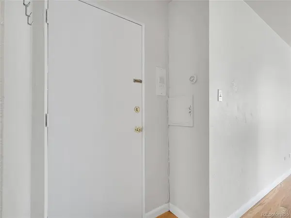 1056 N Marion ST #202, Denver, CO 80218
