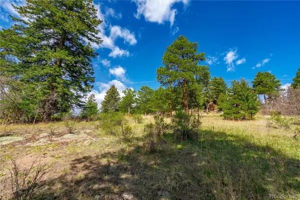 22668 Shawnee RD, Indian Hills, CO 80454