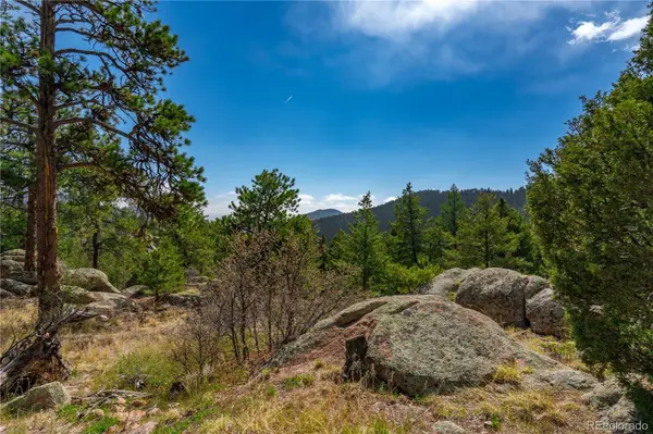 22668 Shawnee RD, Indian Hills, CO 80454