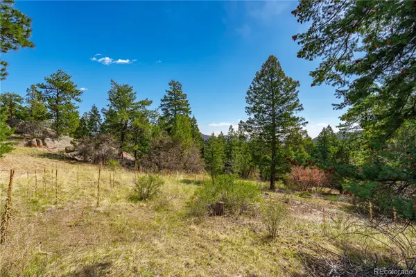 22668 Shawnee RD, Indian Hills, CO 80454