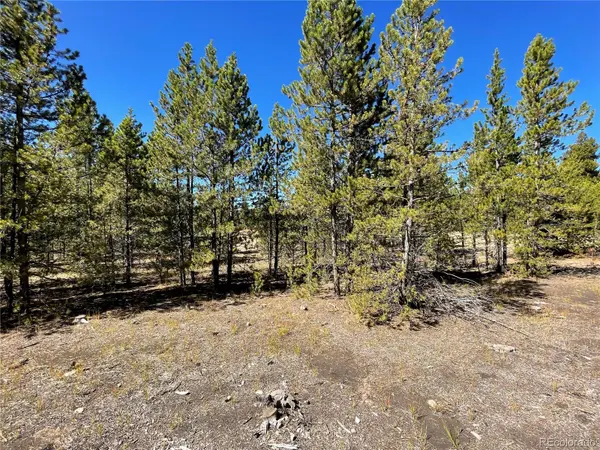 300 Virginia AVE, Leadville, CO 80461