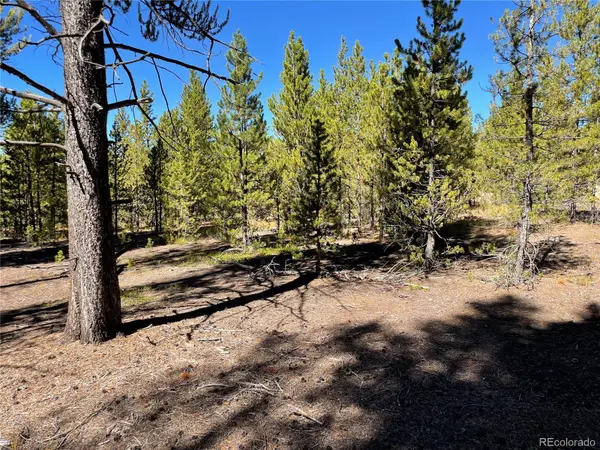 300 Virginia AVE, Leadville, CO 80461