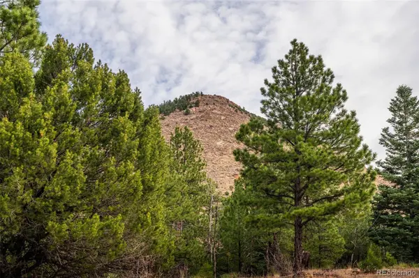 881 Vista De Aspen RD, Westcliffe, CO 81252