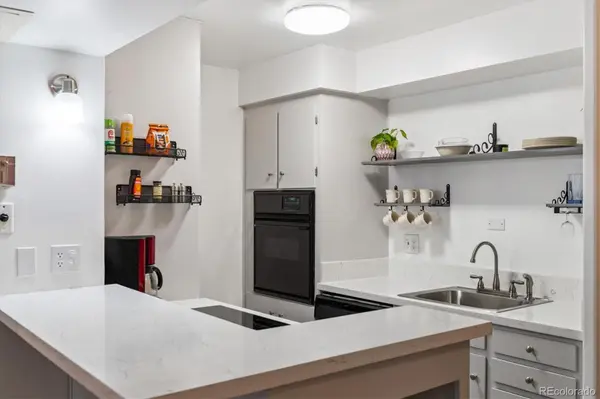 790 N Washington ST #305, Denver, CO 80203