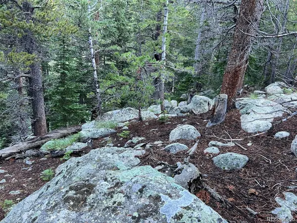 111 Lake RD, Idaho Springs, CO 80452