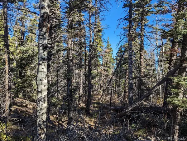 3067 Forbes Park LOOP, Fort Garland, CO 81133
