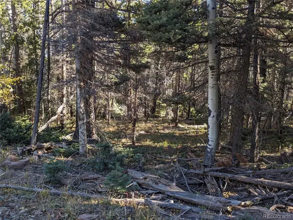 3067 Forbes Park LOOP, Fort Garland, CO 81133