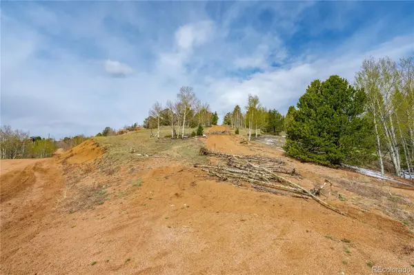 224 Deadwood RD, Cripple Creek, CO 80813