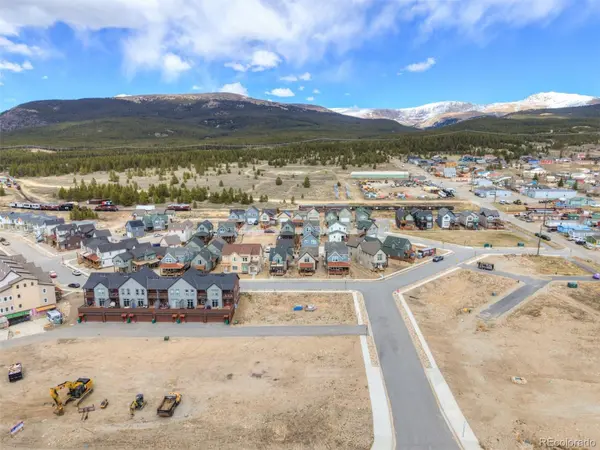 1301,1303,1305,1307 Silver Vault ST, Leadville, CO 80461