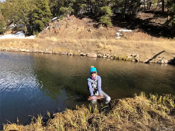 53 Silver Creek Lake, Poncha Springs, CO 81242