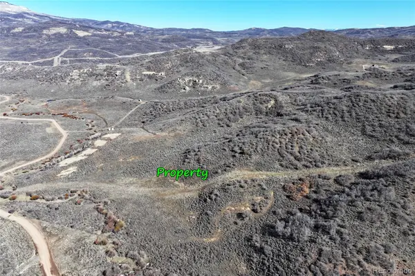 000 Harrison Gulch RD, Collbran, CO 81624