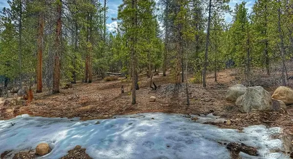 48 Mount Massive RD, Twin Lakes, CO 81251