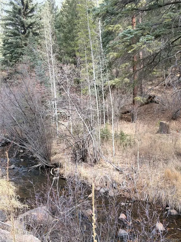 00000 S Elk Creek RD, Pine, CO 80470