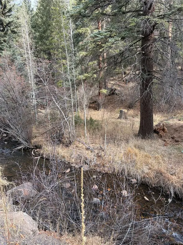 00000 S Elk Creek RD, Pine, CO 80470