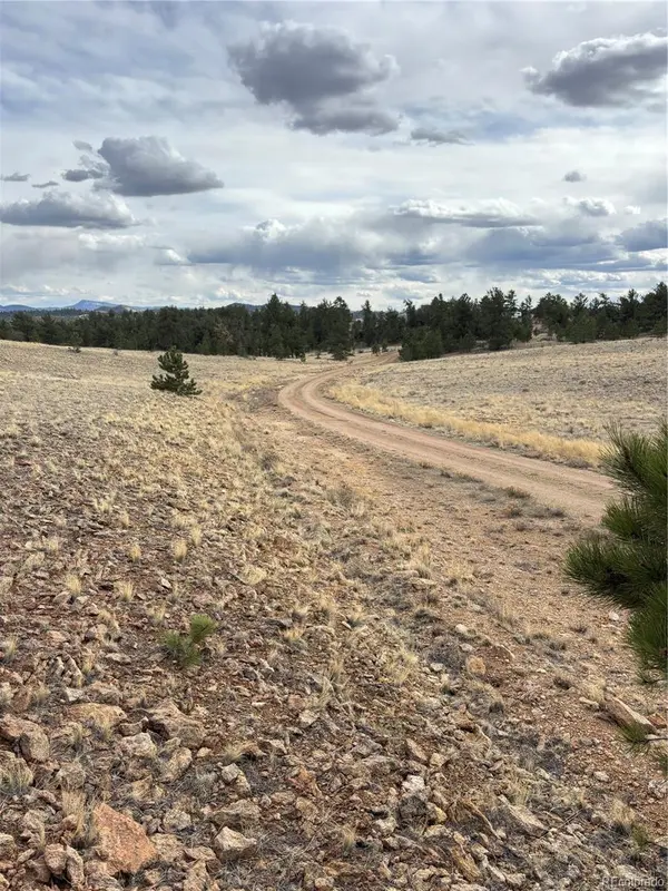 Hiawatha CIR, Hartsel, CO 80449