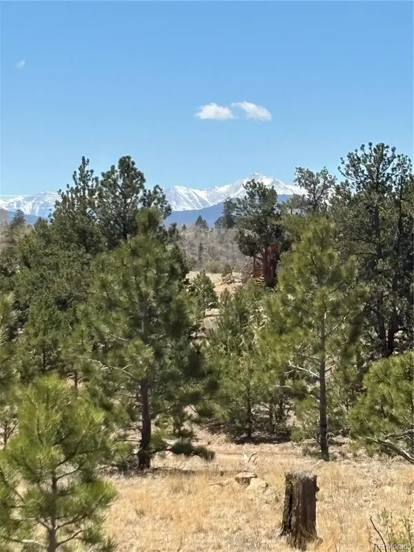 Hiawatha CIR, Hartsel, CO 80449